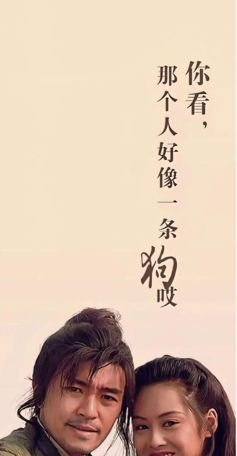 人气综艺精选